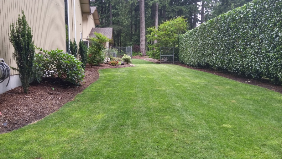 Winterizing your lawn in Port Orchard, Tacom and Gig Harbor in the cific Northwest