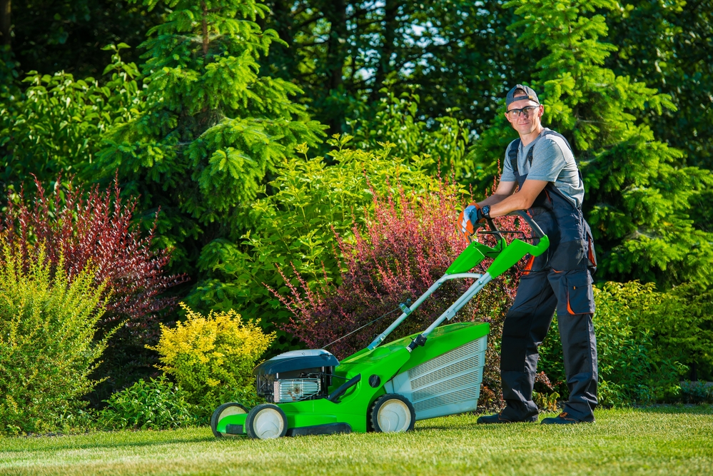 Levy's Landscaping and Lawns Quality Maintenance