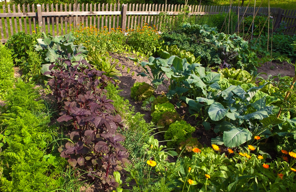 plan your pacific northwest garden