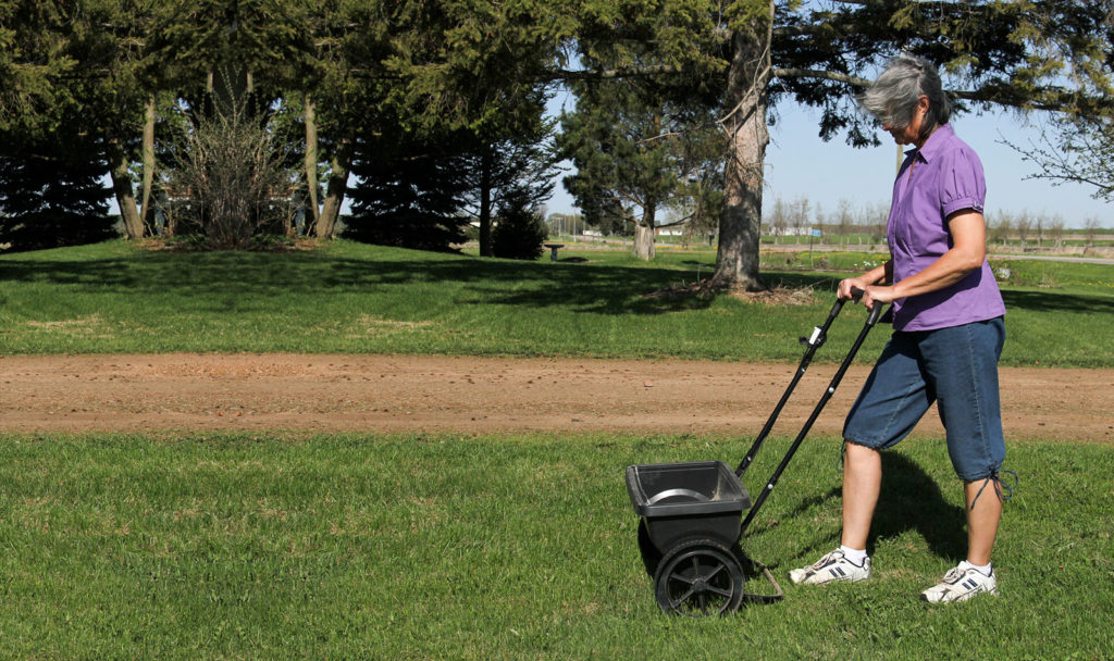 choose a balanced fertilizer, such as a 10:10:10 mix