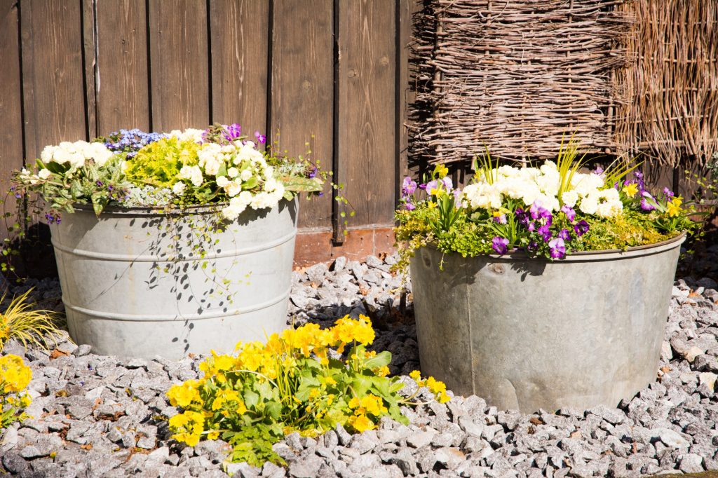 Vintage tin buckets filled with spring flowers in the garden