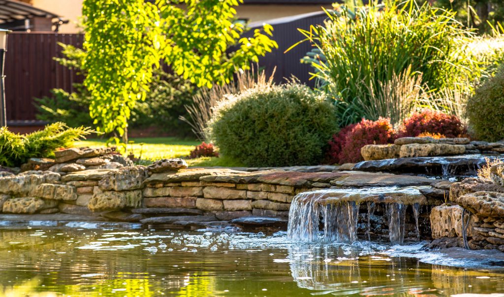 landscaping around your waterfall or water feature