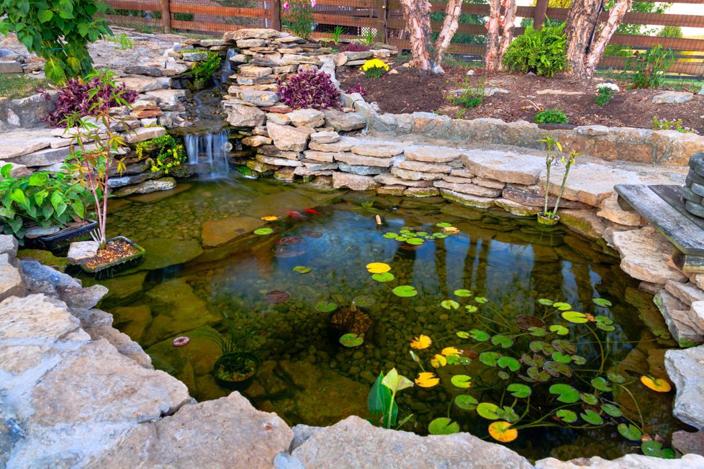 Decorative koi pond in a garden pacific northwest