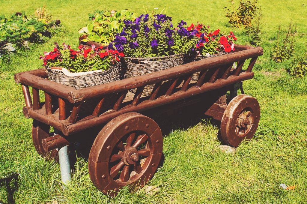 Wooden cart on green grass with blooming flowers in different colors