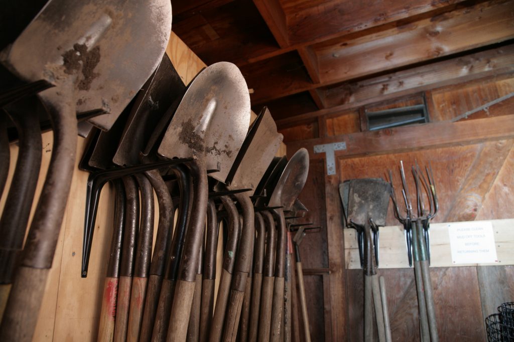 Gardening tools inside garden shed