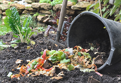 bucket spilling various vegetable peelings on soil from the garden