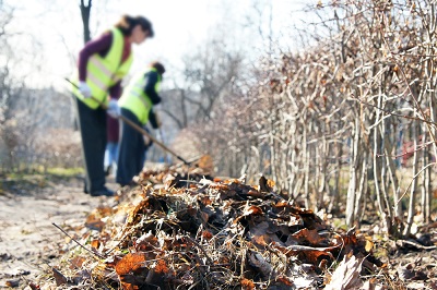 fall garden cleanup in the pacific northwest seattle wa