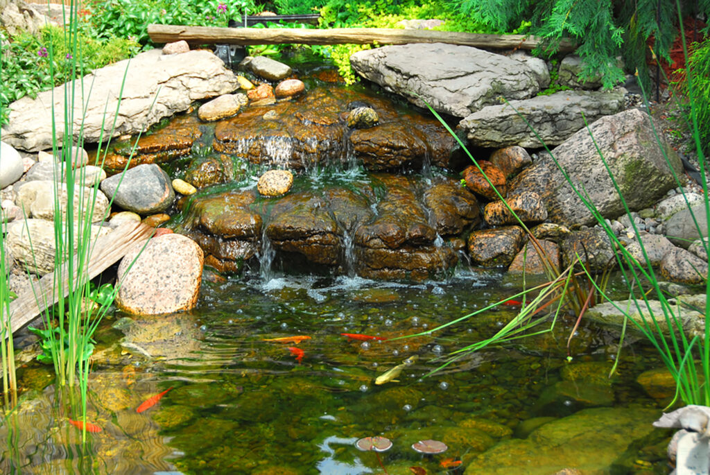 backyard waterfall gardening