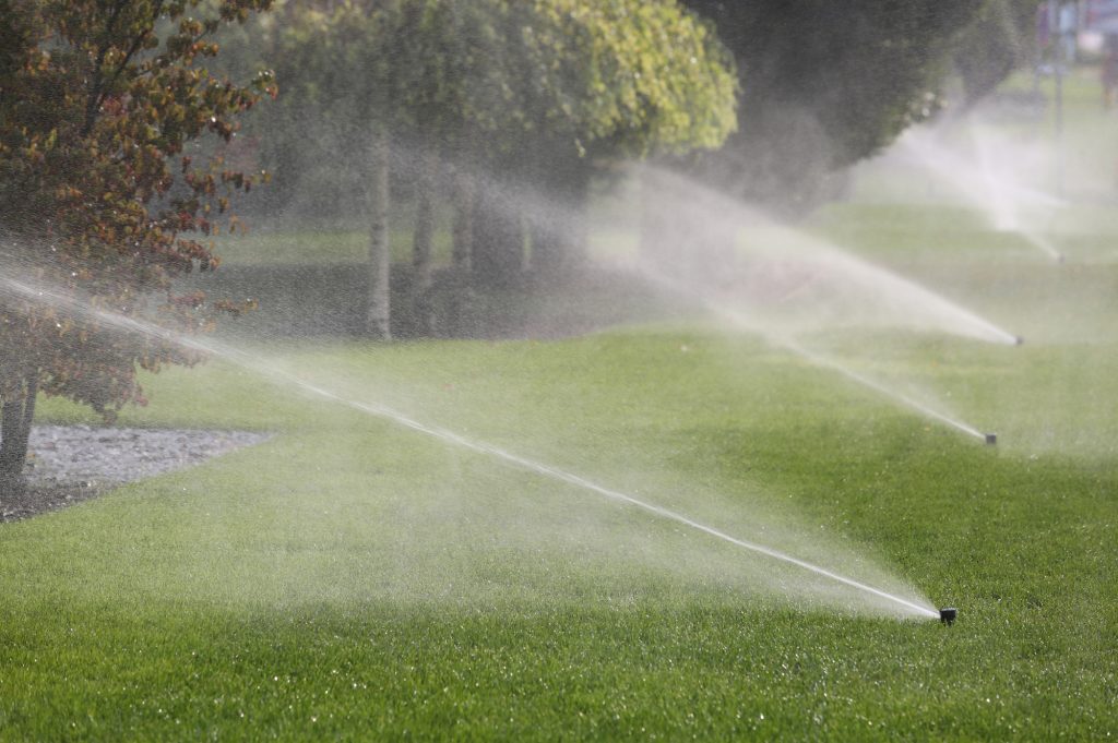 lawns and sprinkler systems