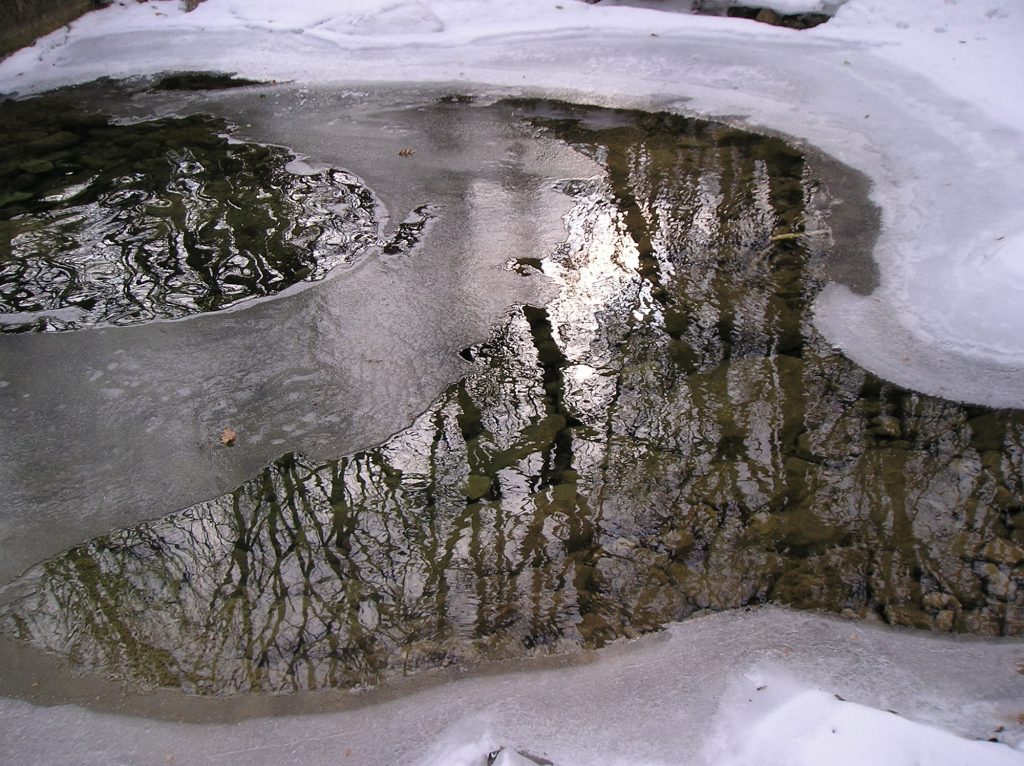 winter pond tips levys lawns and landscapes