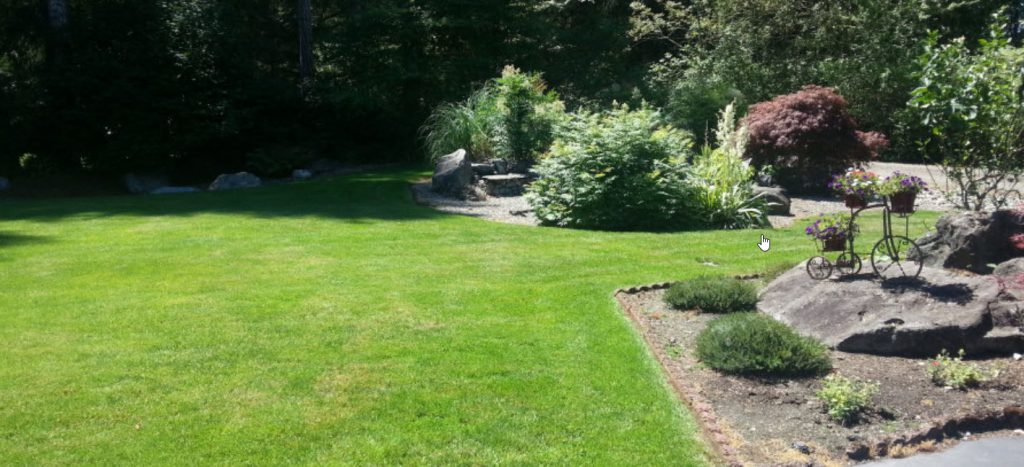 yard and lawn care levys lawns and landscaping