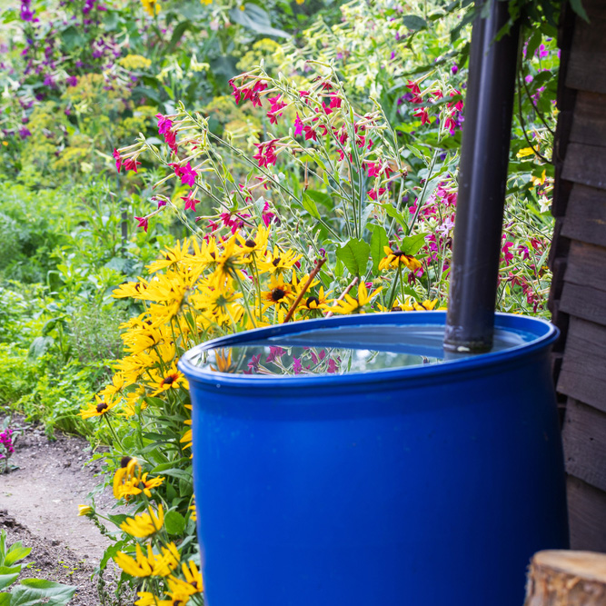rainwater collection in the pacific northwest