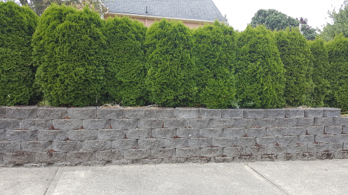 A stone wall