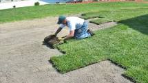 Sod installation