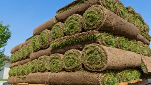 Sod is an easy way to get a beautiful lawn quickly.