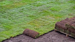 Sod lawns give you quick results