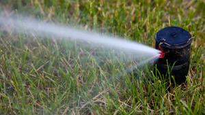 Sprinkler systems provide efficient watering for your yard