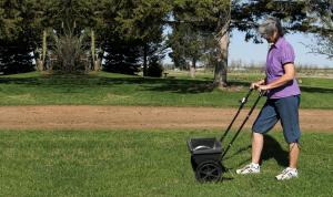 Fertilize your lawn at regular intervals