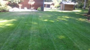 Another beautiful lawn by Levys Lawns and Landscaping