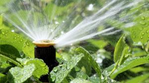 Sprinkler systems provide efficient watering for your yard